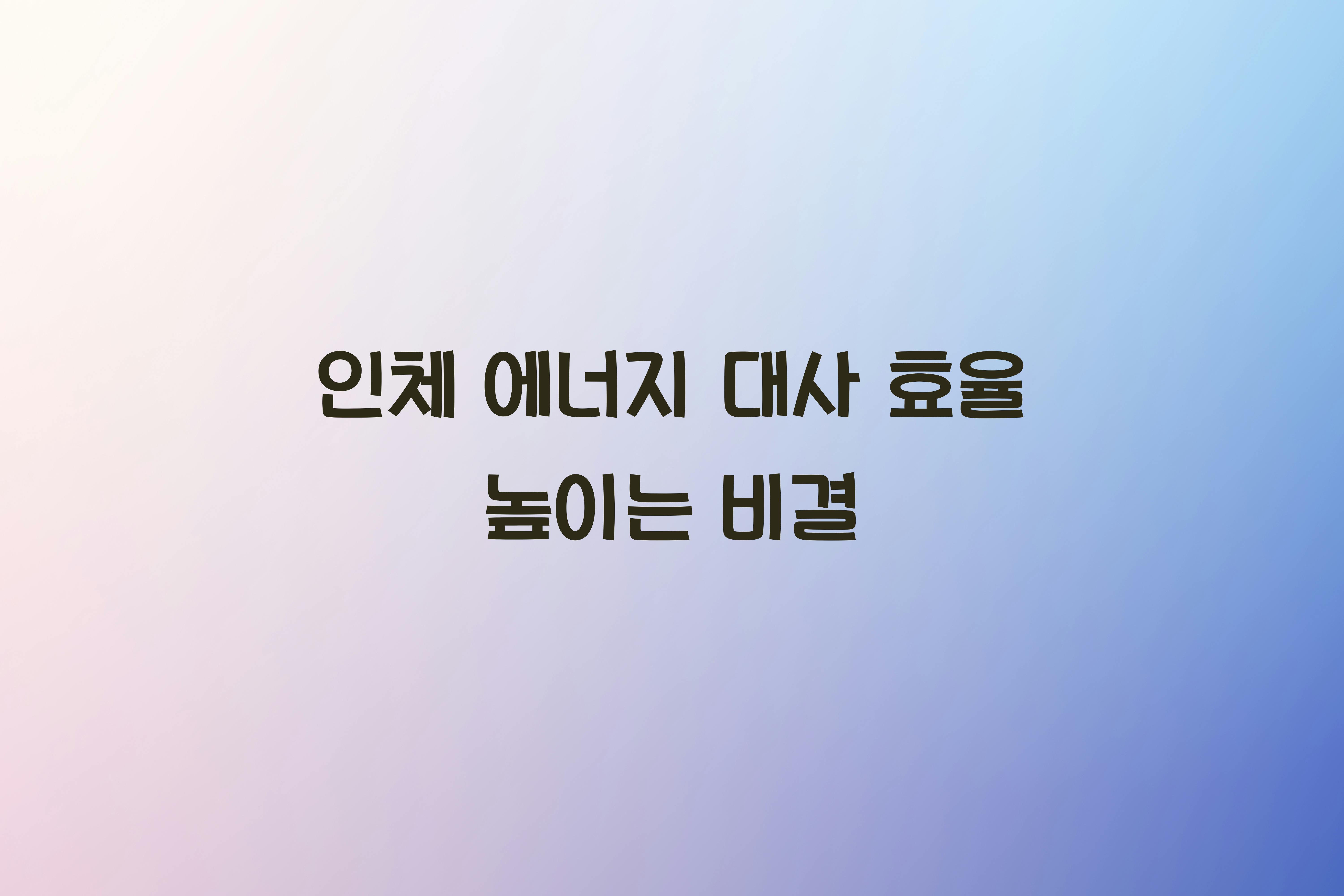 인체 에너지 대사 효율