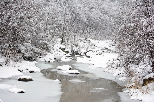 눈 내리린 계곡
