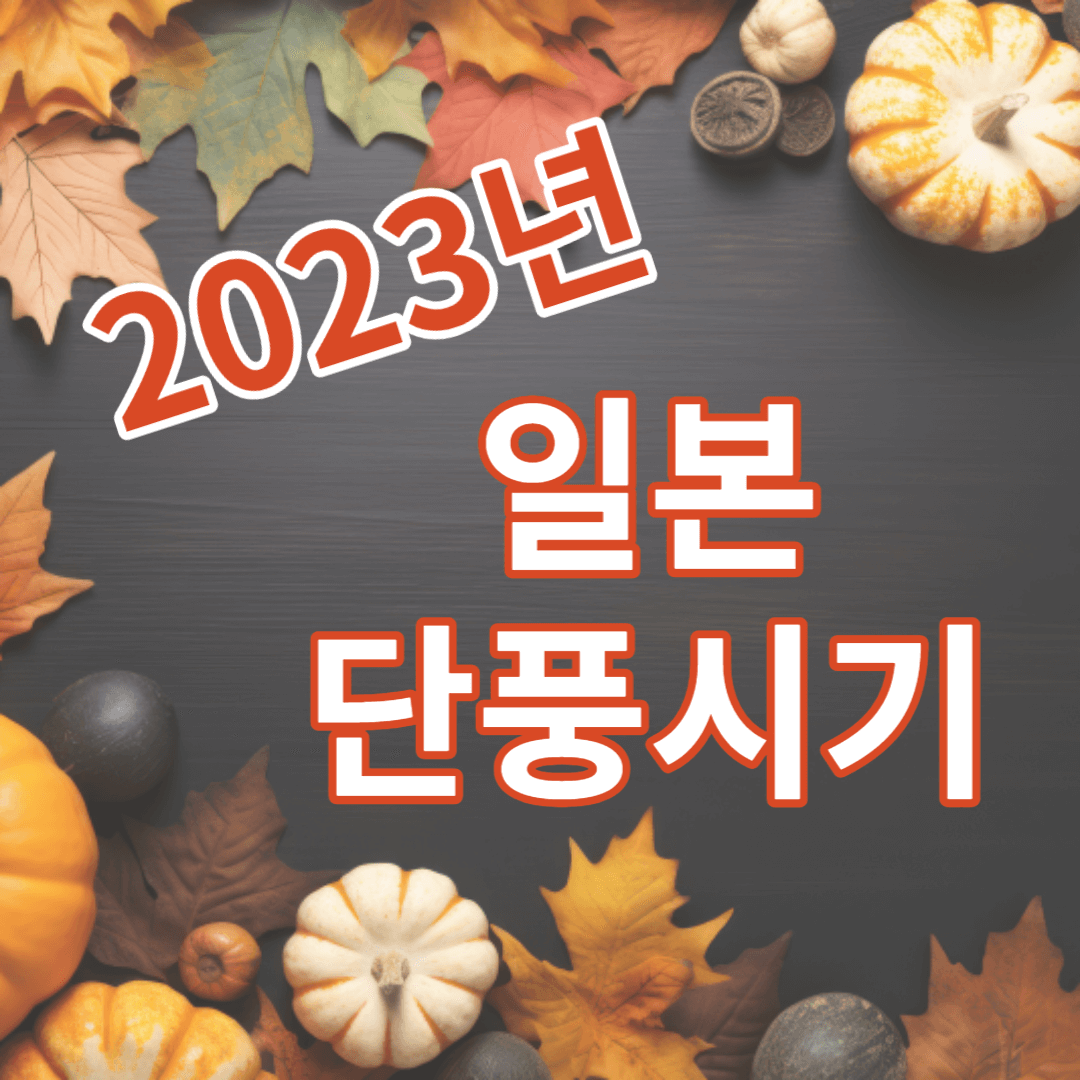 2023년 일본 단풍시기 썸네일
