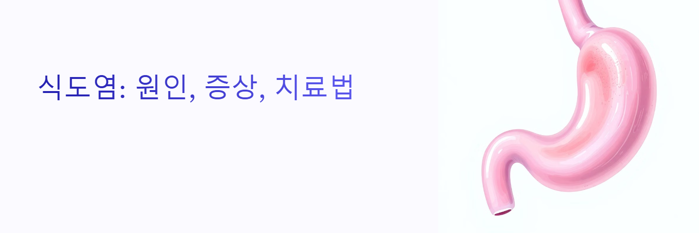 식도염 관련 이미지