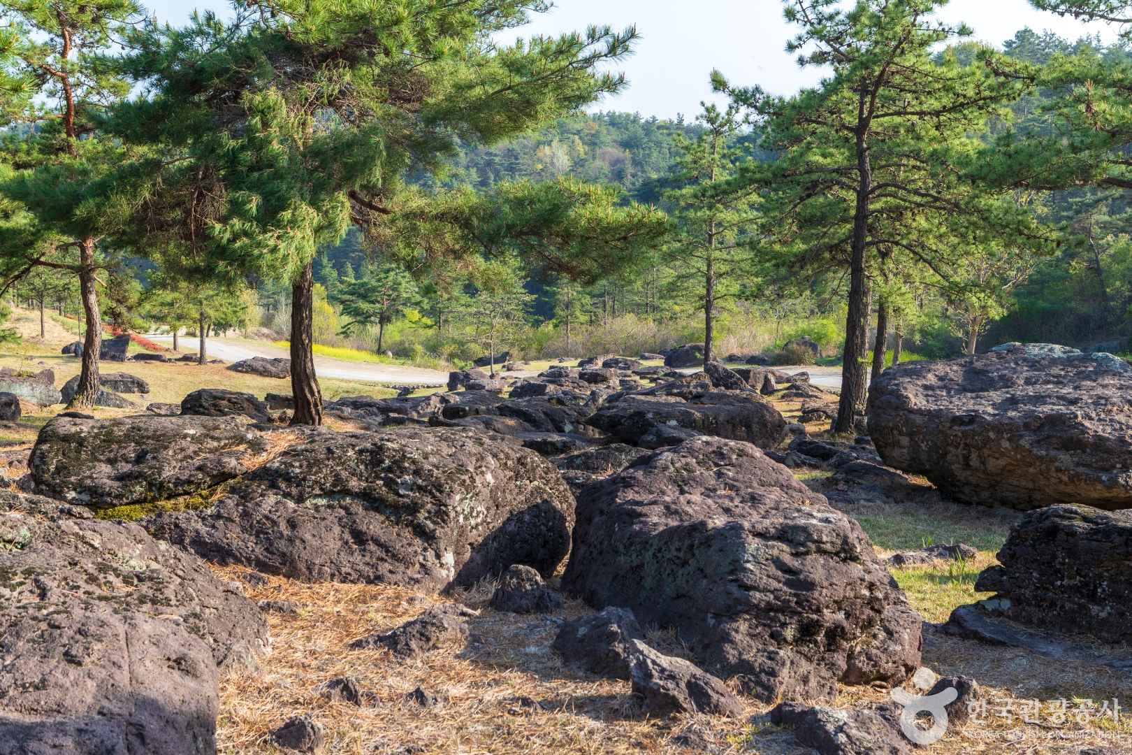 화순 고인돌 유적지