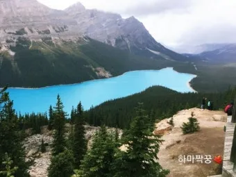 캐나다 여행하기 좋은 계절 여행지 선물 추천_18