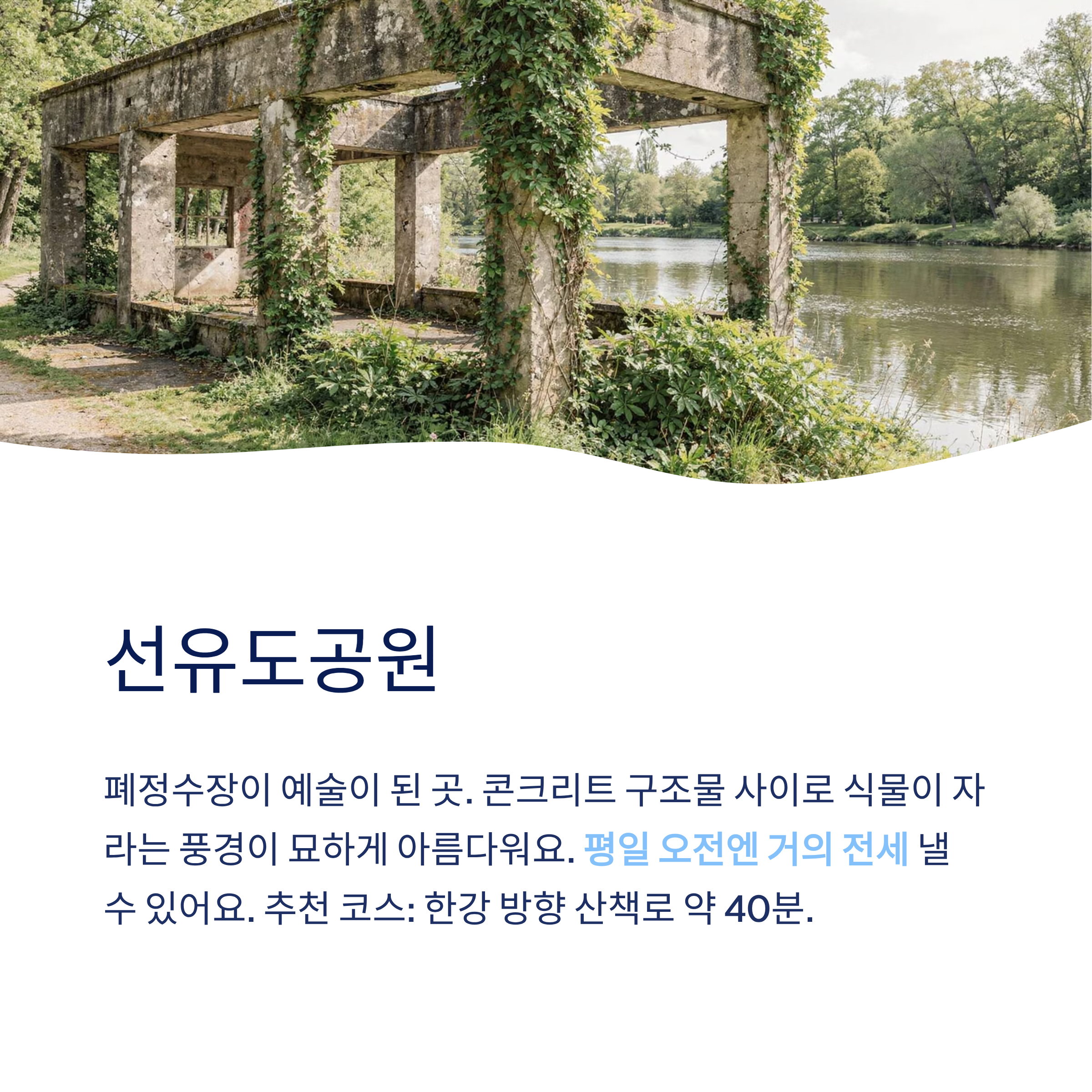 산책하기 좋은 도시 공원 전국 추천 &mdash; 진짜 걸어본 사람만 아는 숨은 명소들