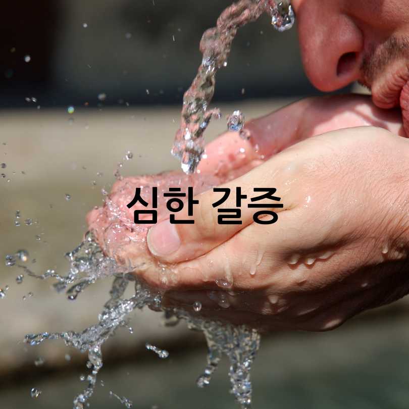 당뇨병 초기증상