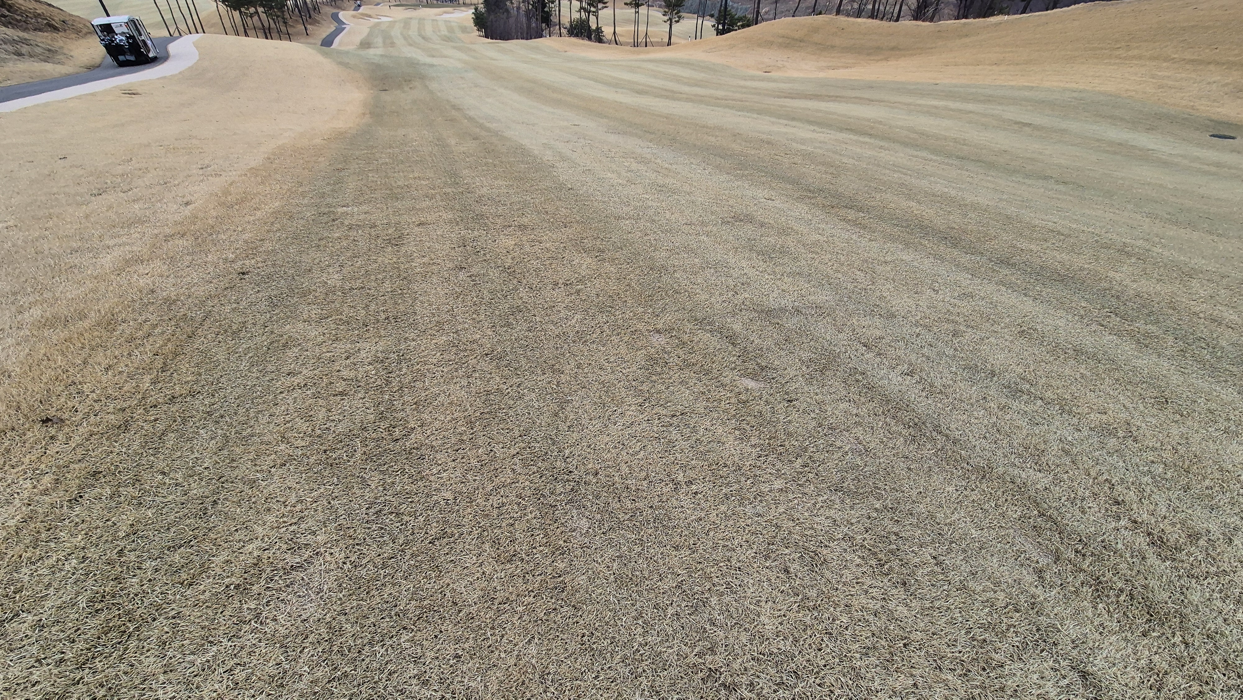 세현cc 코스 난이도