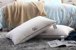 불면증 탈출, 가바 영양제