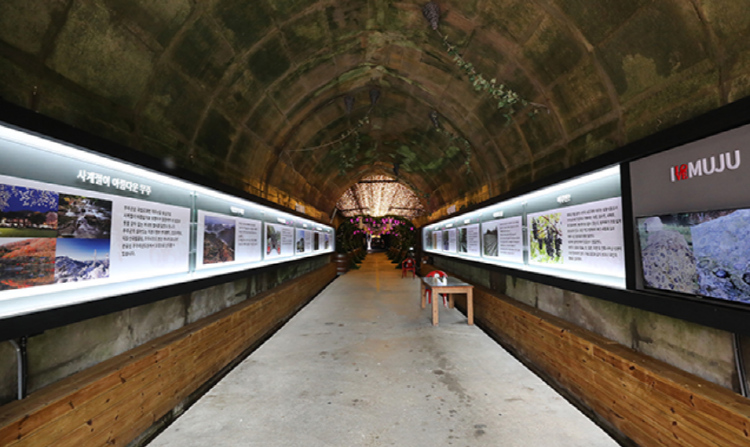 무주 머루와인동굴