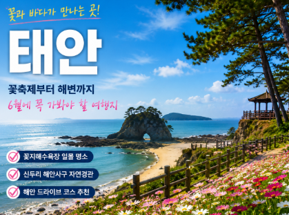 "모르면손해..." 6월 국내 여행지 추천 가족 커플 혼자여행 명소 전부알려드림6