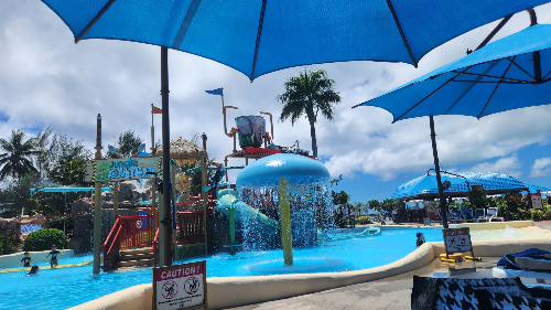 수영, 강습 독학 뭐가 더 좋을까