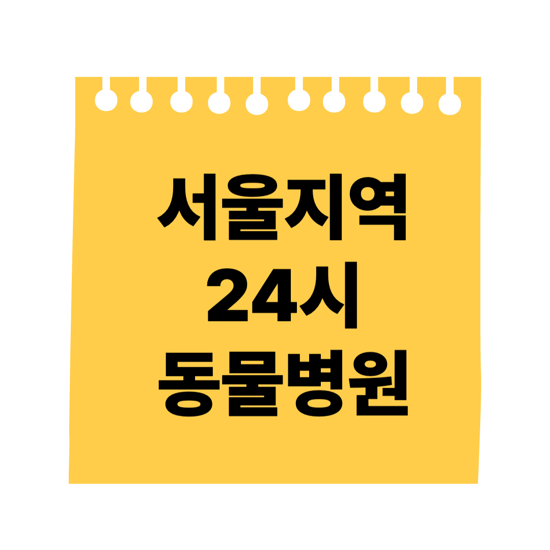 서울24시간 동물병원 연락처