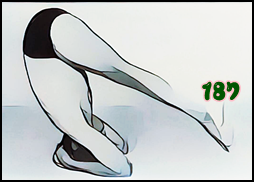 소소한요가 클래스