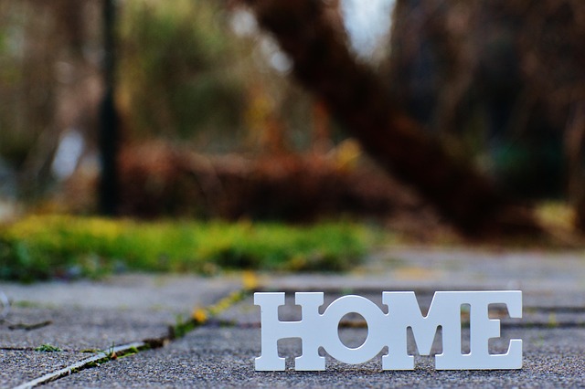 오늘의 운세사진