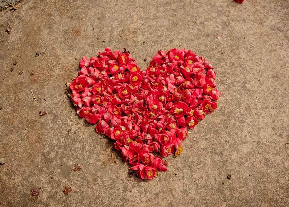 광양 옥룡사 동백나무숲