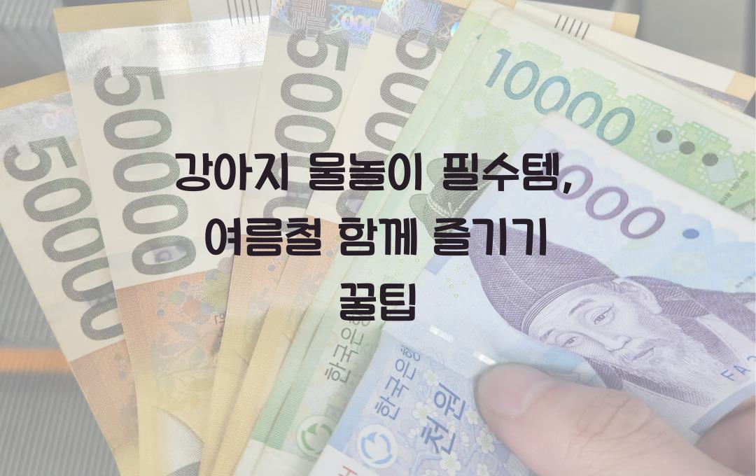 강아지 물놀이 필수템, 여름철 반려견과 함께 즐기는 방법