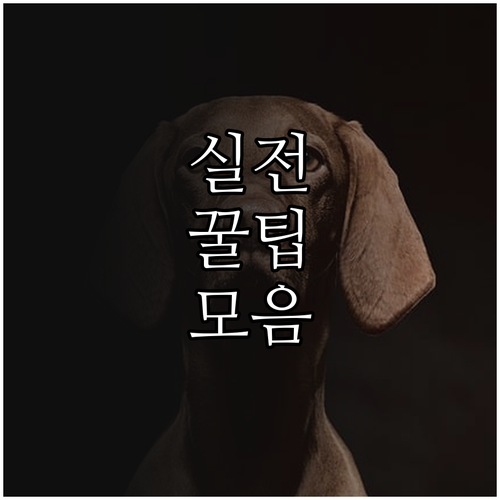 2025 고속도로 사고 한국도로공사 ..