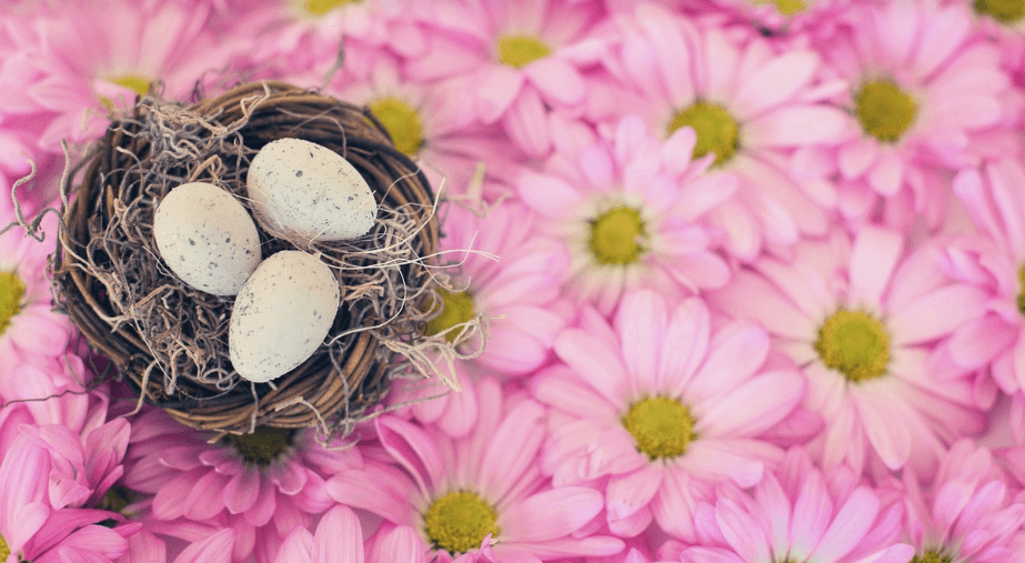 단백질 많은 음식 사진 - 14