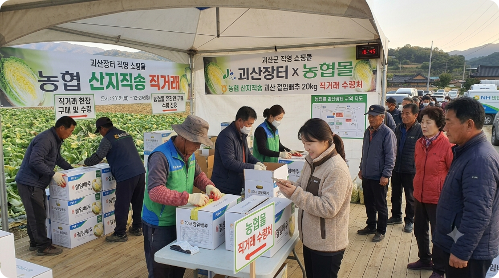 괴산 절임배추 20kg 직거래 이미지