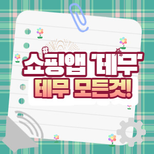 쇼핑앱 테무