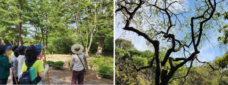 서울대 안양수목원