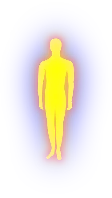 아르기닌의 효능 부작용 복용법