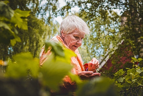 호르몬 변화가 신진대사에 미치는 영향