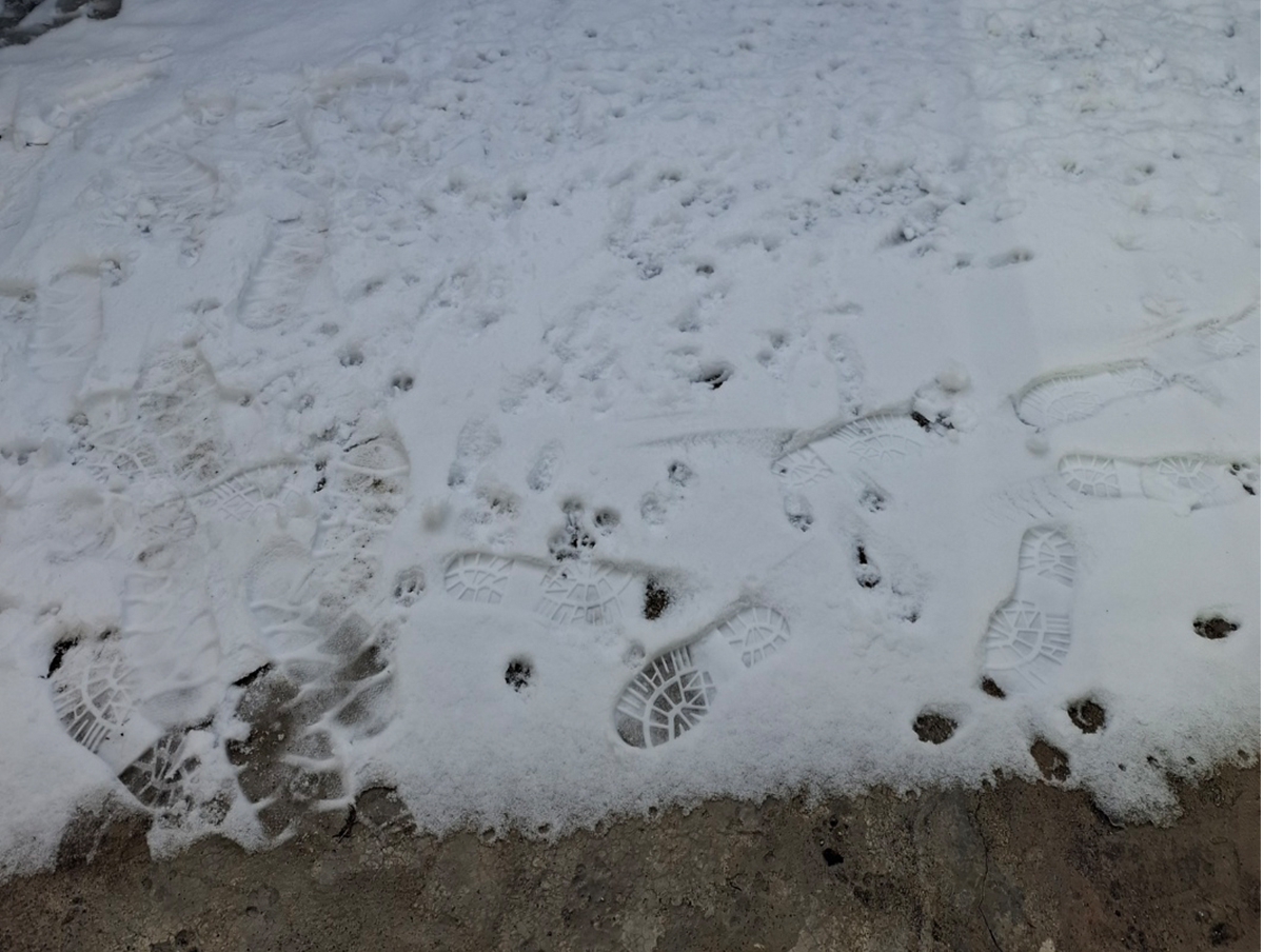 작은 매장을 지나면 복층과 뒷 마당이 있다, 그 뒷 마당이 맘에 들어 이곳으로 이전하려고 한다