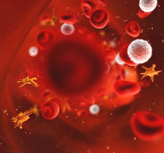 Kidd 항체(Jkᵃ/Jkᵇ)에 의한 지연성 용혈성 수혈반응(DHTR) 임상 사례