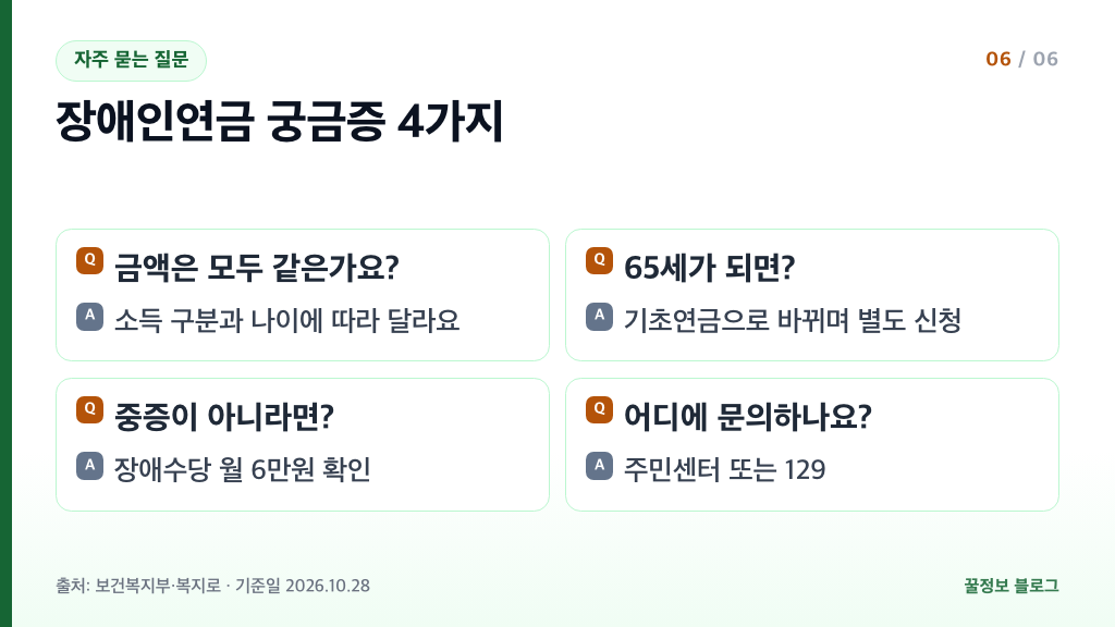 장애인연금 자주 묻는 질문 금액 차이 65세 기초연금 전환 장애수당 문의처 129