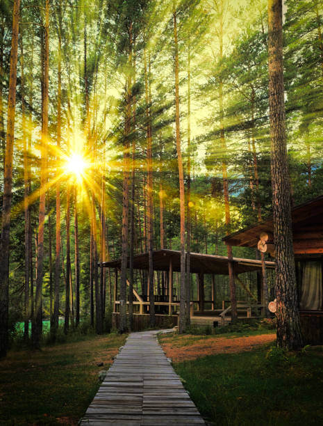 미세먼지 없는 국내 숲속 숙소1