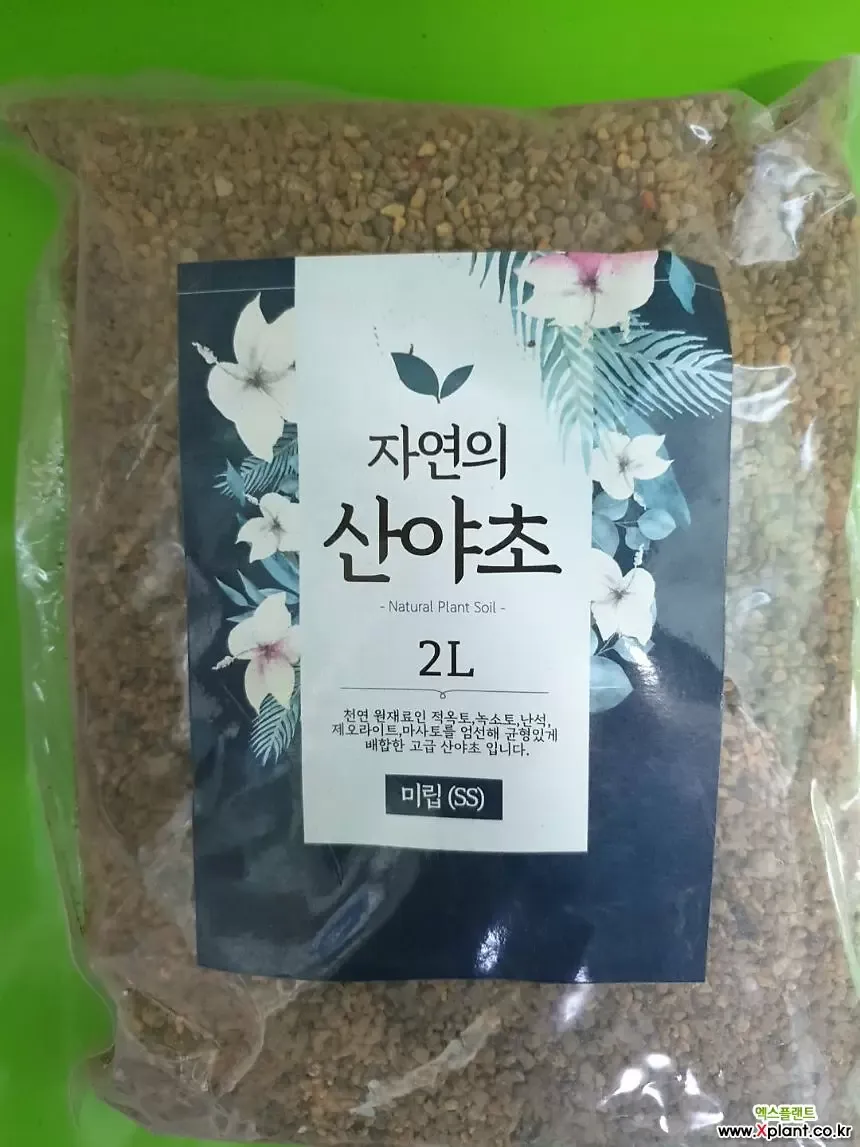마사토 배합 비율 배수력개선 분갈이기본 시니어도 쉽게_3