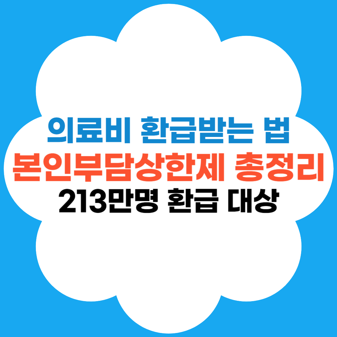 본인부담상한제 총정리 썸네일