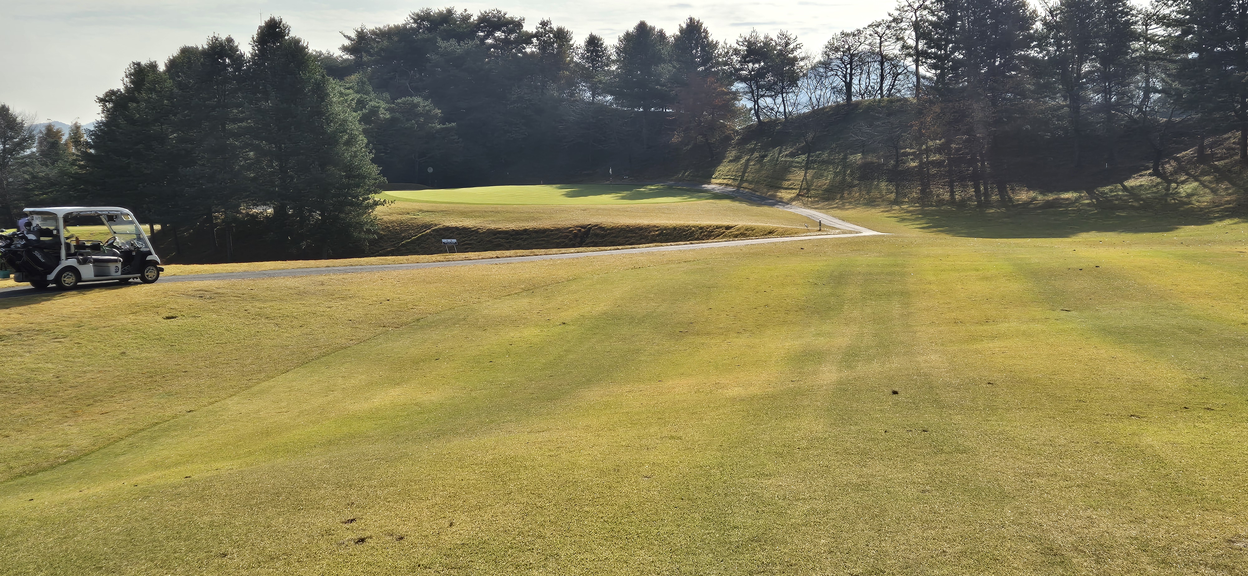 시그너스cc 라미코스 사진 및 공략 정보