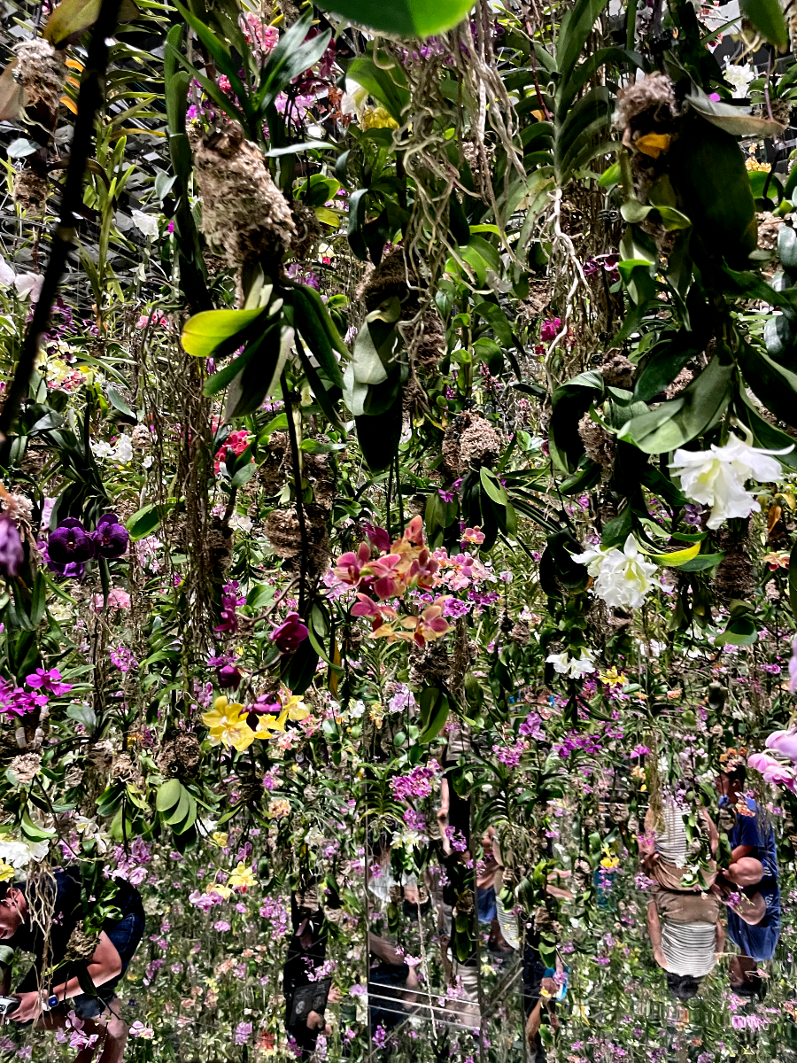 팀랩플래닛 관람 꽃과 나와 하나의 뿌리, 정원은 나와 하나의 몸