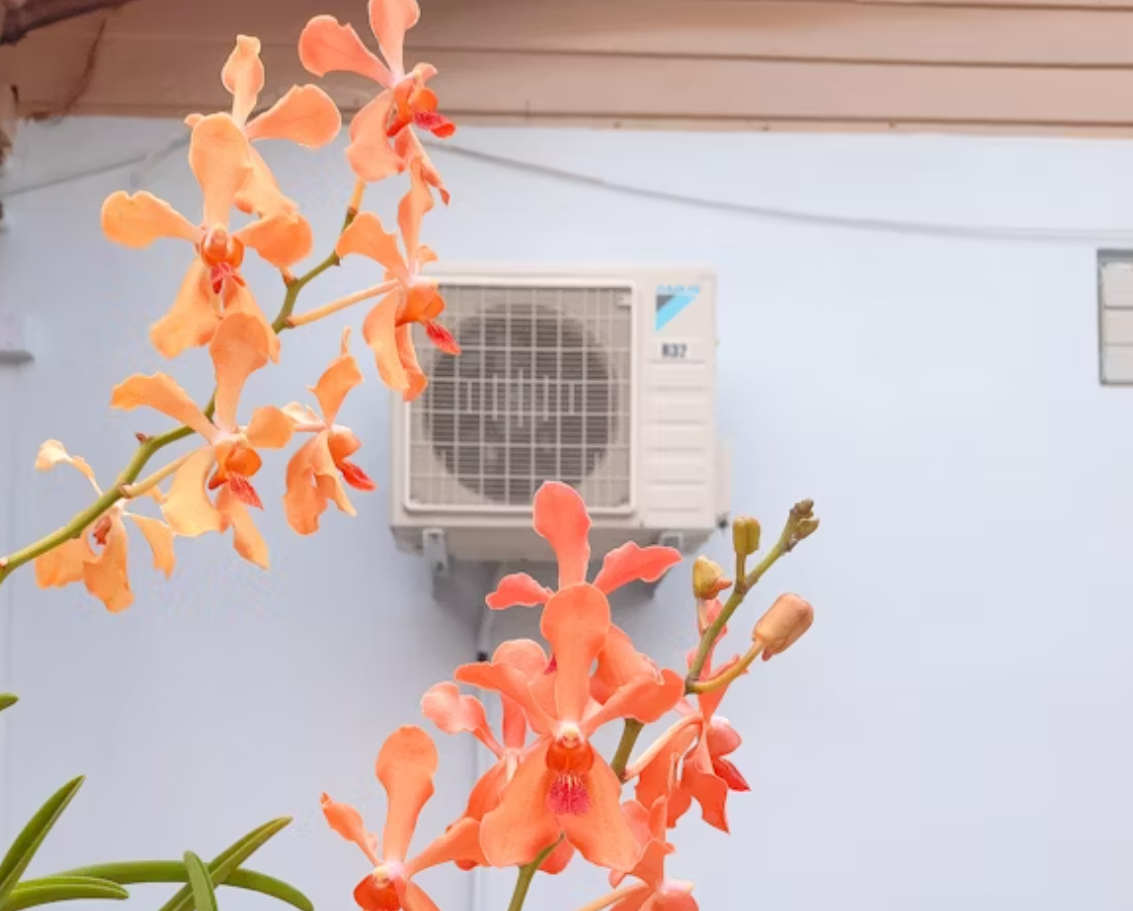 비용 절약 꿀팁 &amp; 업체 선택 기준 2