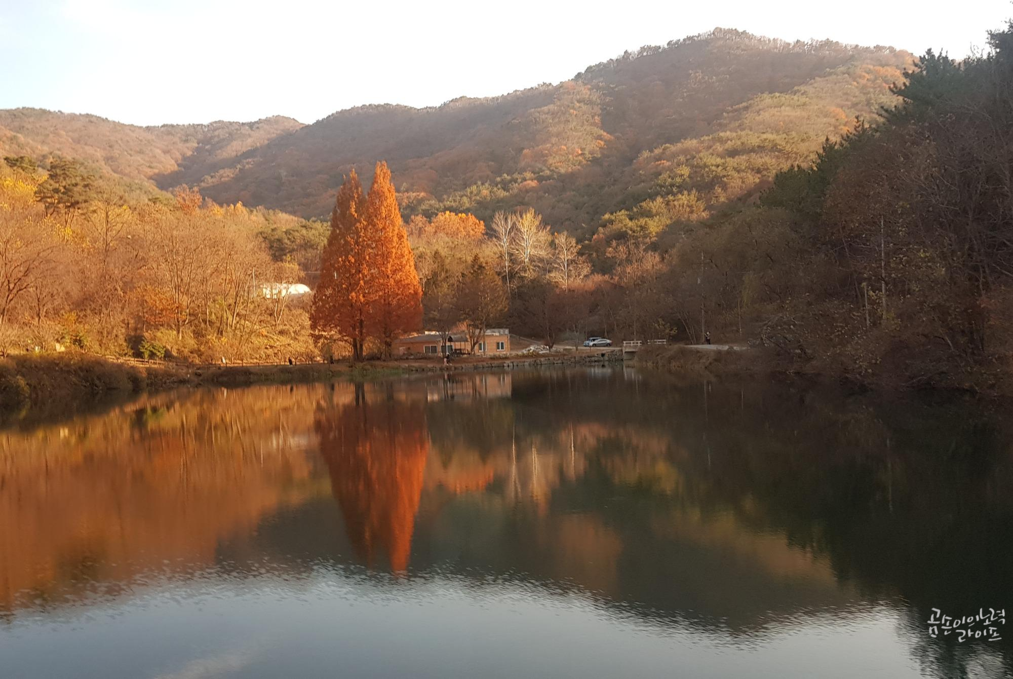 엔학고레 가을풍경
