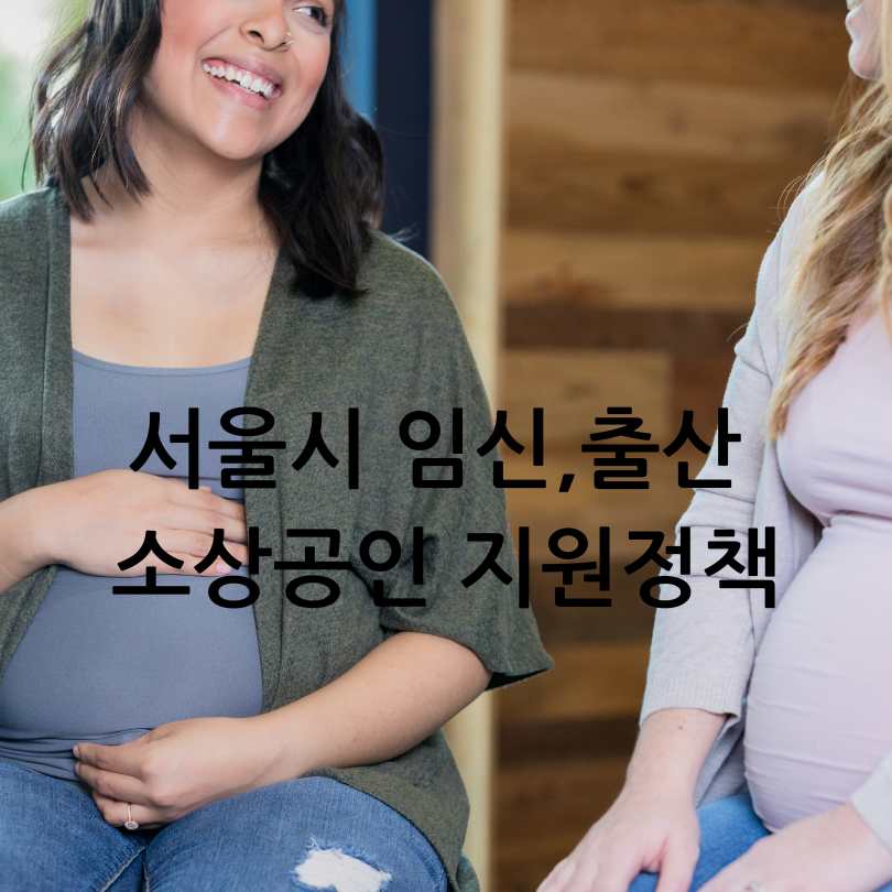 서울시 임신,출산 소상공인지원정책