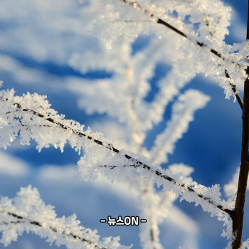 1월에 가볼만한 국내 여행지 