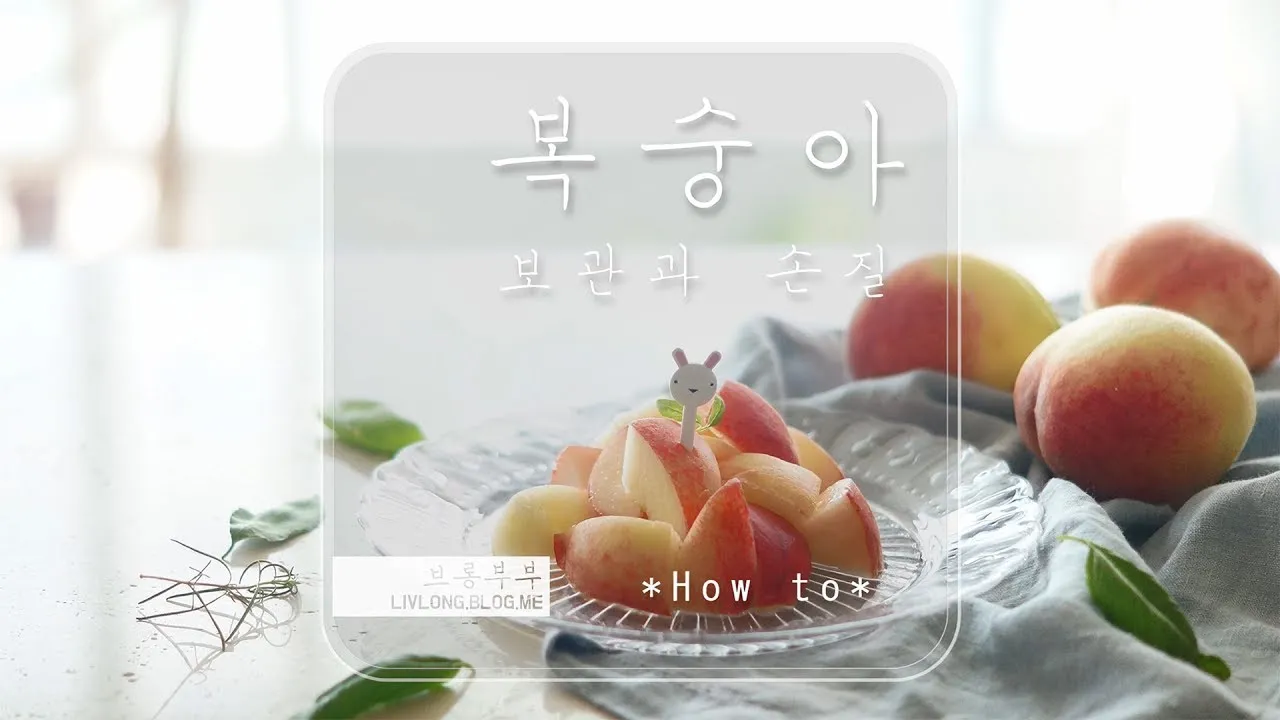 복숭아 보관방법과 싱싱하게 유지하는 팁_8
