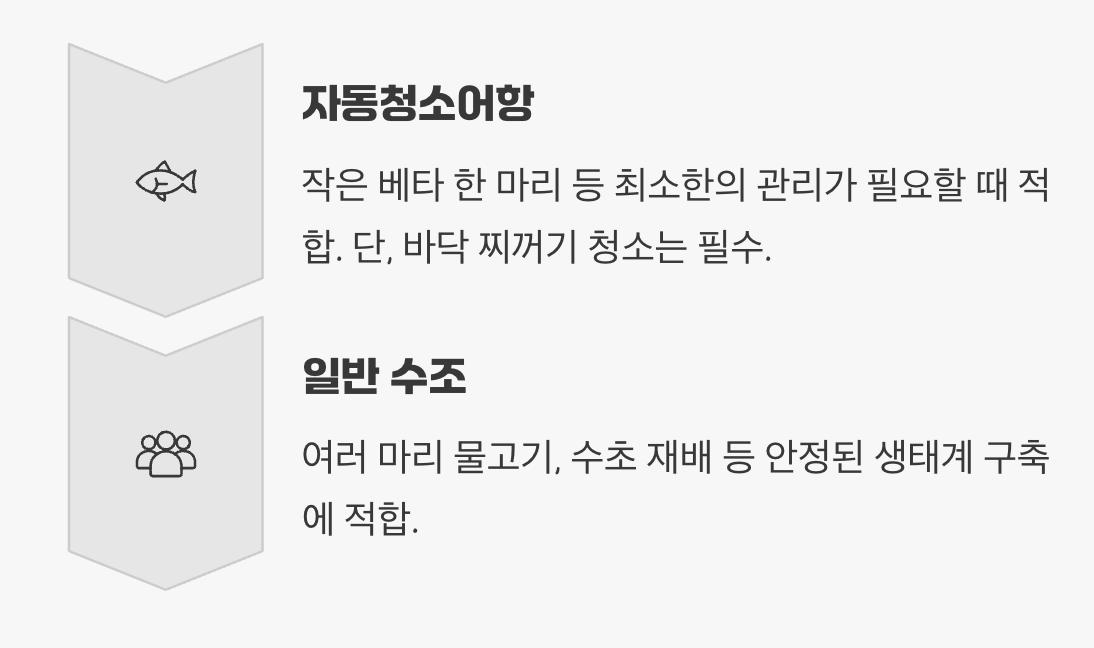 나에게 맞는 선택은? 명확한 기준 제시