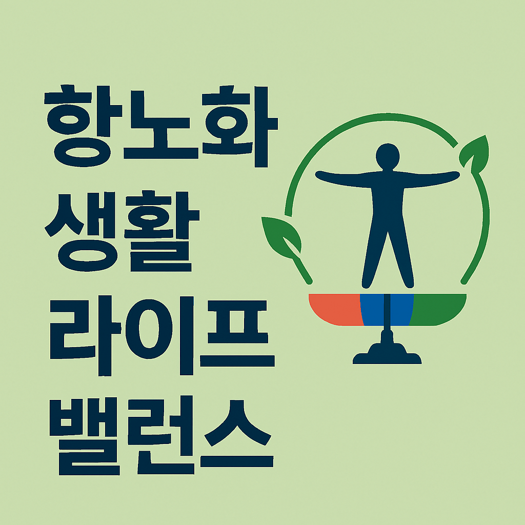 항노화 생활 라이프 밸런스