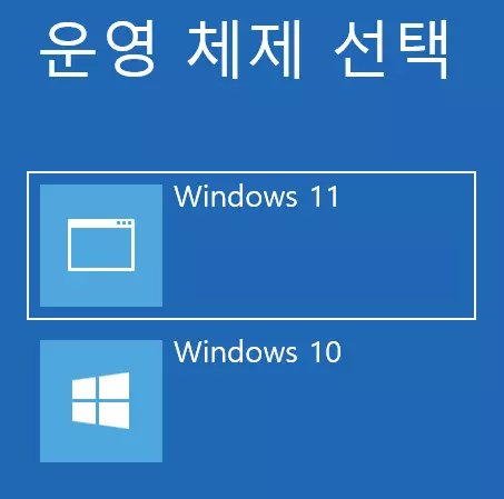 부팅 시 운영 체제를 선택하는 화면
Windows 11
Windows 10