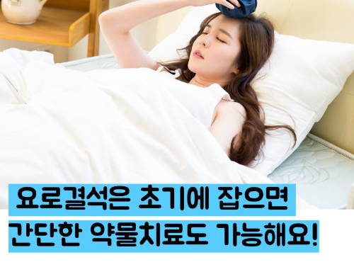 요로결석 증상