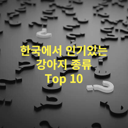 한국인이 사랑하는 강아지 종류&#44; 반려견 품종