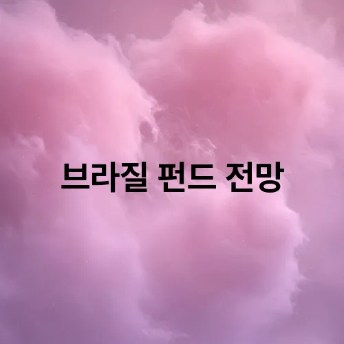 브라질 펀드 전망