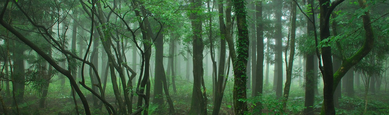제주시 대표 숲길 6선 안내