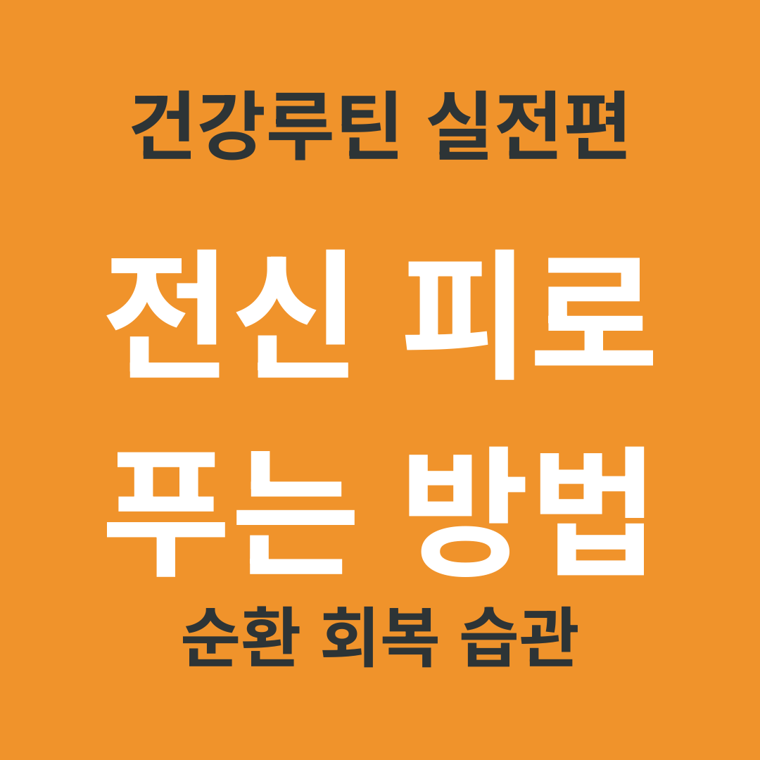 TV 건강 정보 요약 16. 몸이 전체적으로 뻐근할 때 전신 순환 회복 루틴