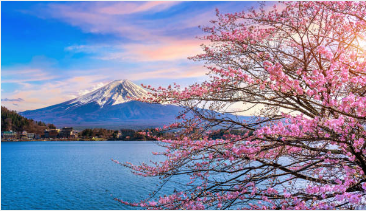 비짓재팬 웹 등록방법