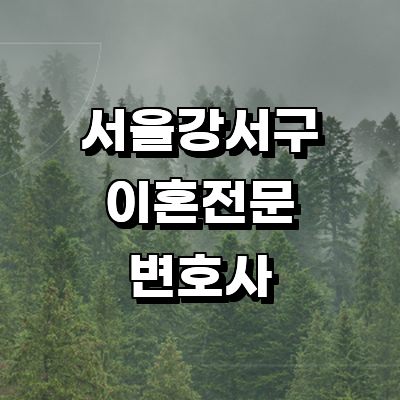 서울 강서구 이혼 변호사