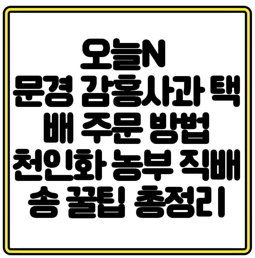 오늘N 문경 감홍사과 택배 주문 방법｜천인화 농부 직배송 꿀팁 총정리