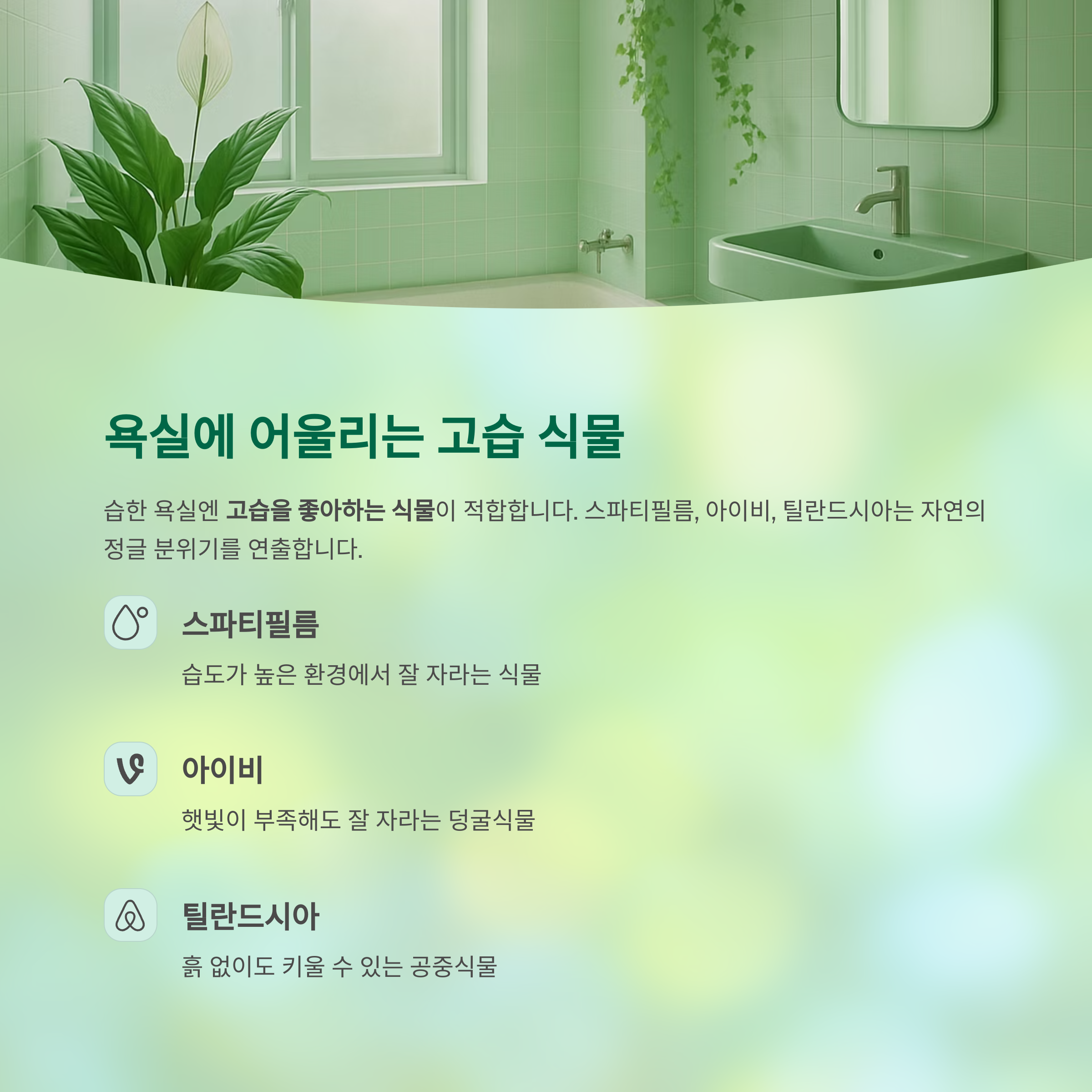 욕실에 어울리는 고습 식물